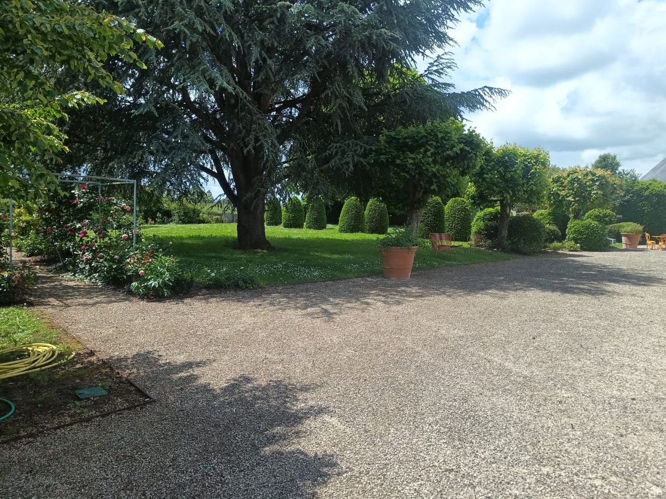 Un jardin avec plusieurs plantes