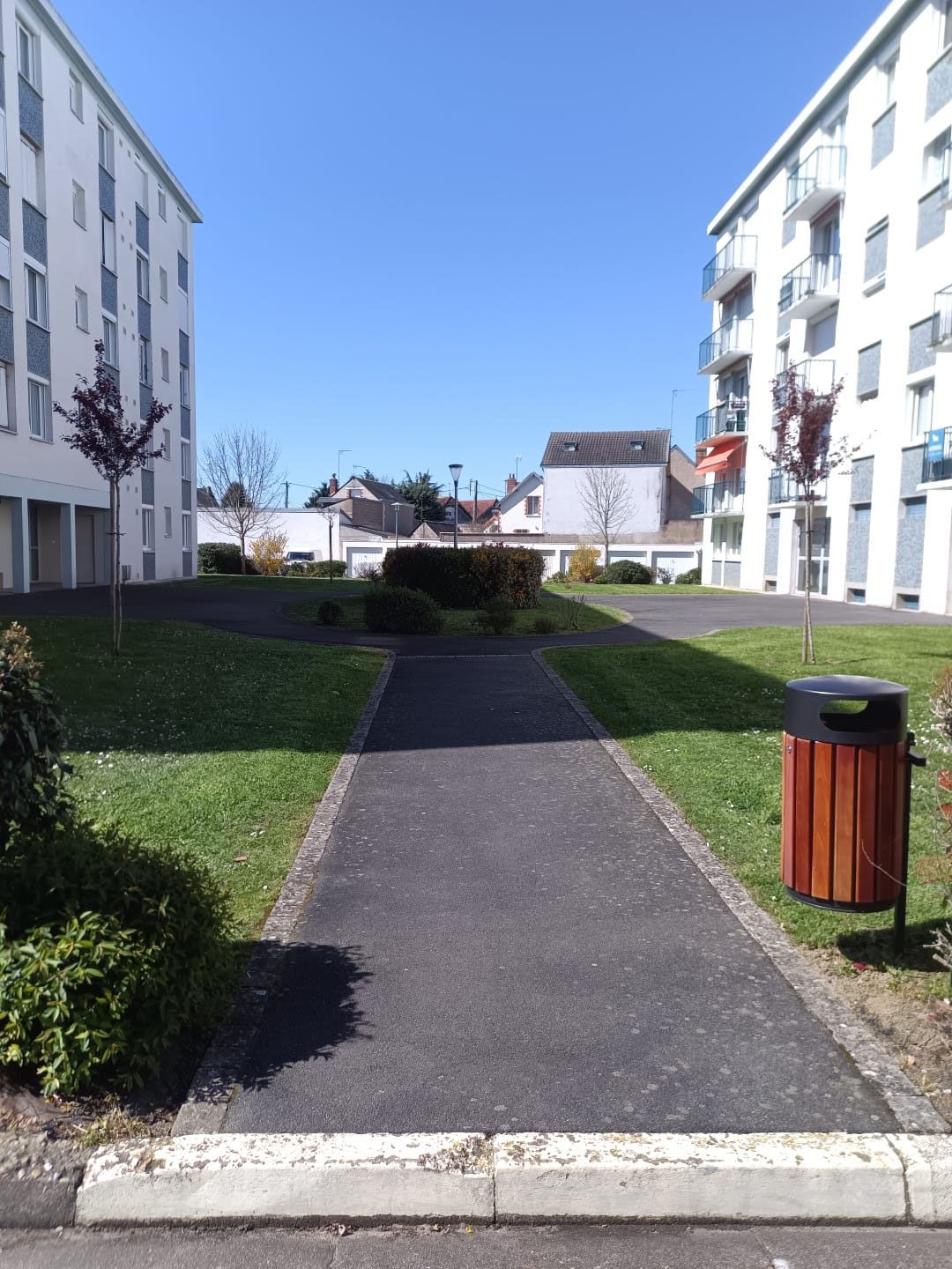 Un jardin avec un bassin