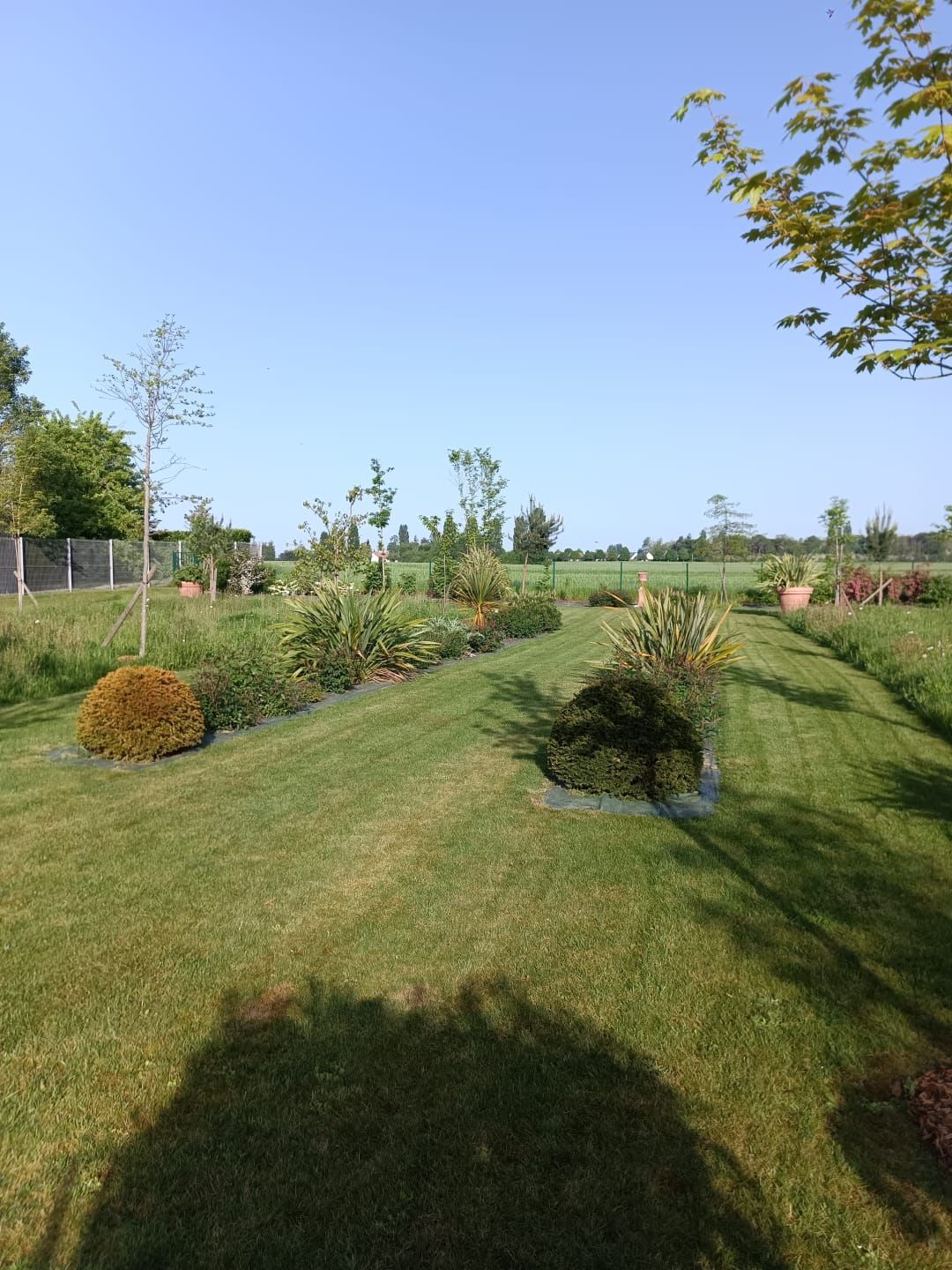 Un grand jardin vaste avec plusieurs arbres