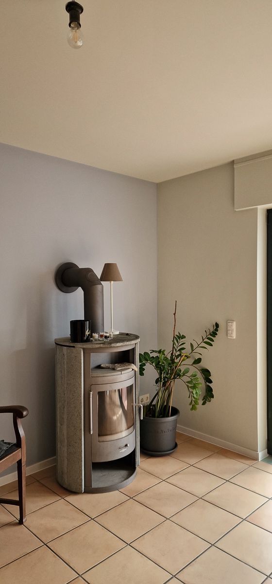 ein Wohnzimmer mit einem Kamin und einer Pflanze - Referenzen der Malermeisterin Stefanie Würfel aus Bielefeld