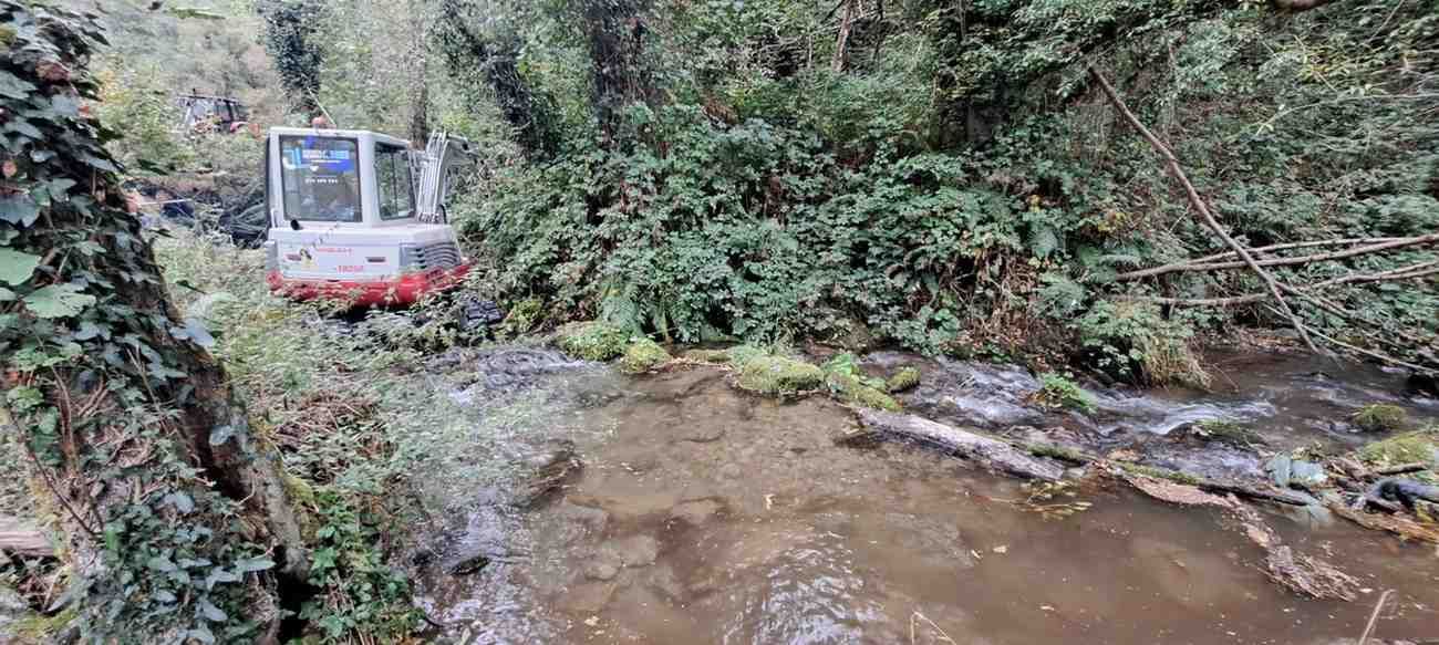 Vehículo blanco en un arroyo forestal fangoso junto a un estrecho sendero arbolado.