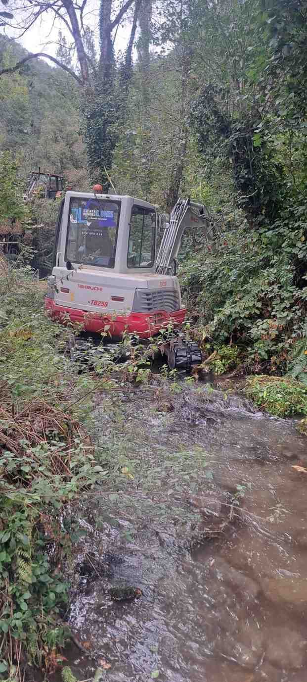 Un pequeño tractor rojo en un sendero forestal embarrado, rodeado de densa vegetación verde y árboles.