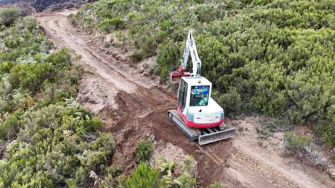 Una excavadora roja abre un camino de tierra a través de una densa vegetación verde.