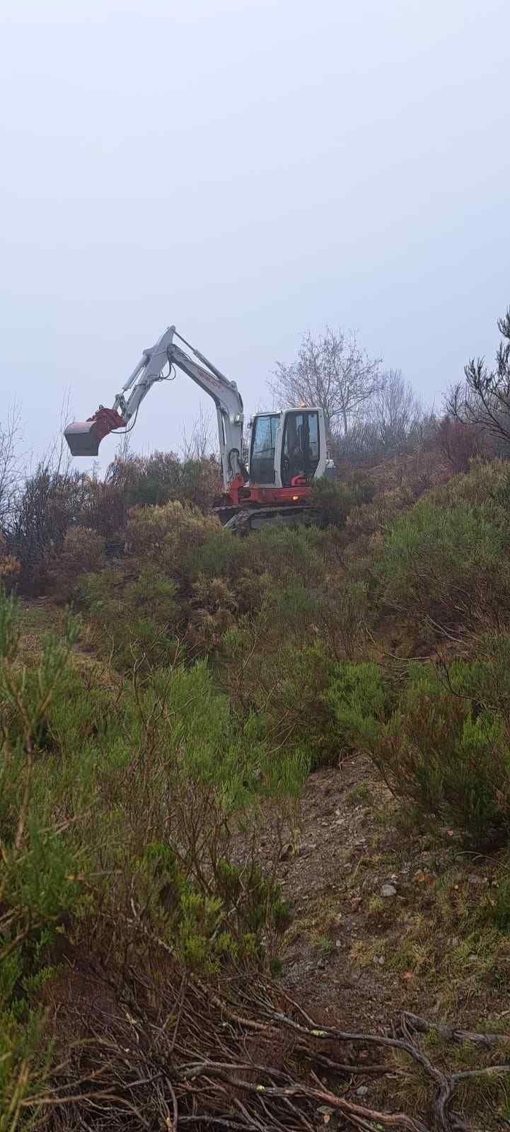 Una excavadora trabaja en una ladera cubierta de maleza bajo un cielo nublado.
