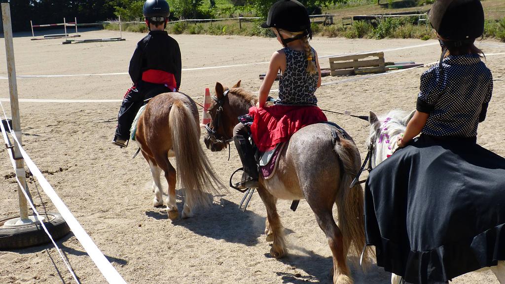 Cours baby poney