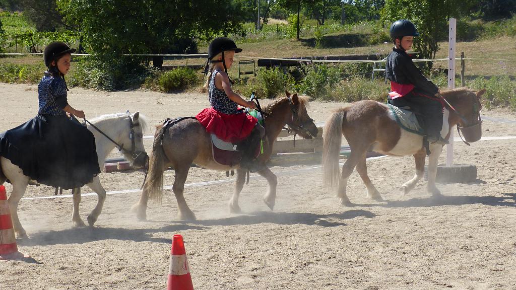 Cours équitation