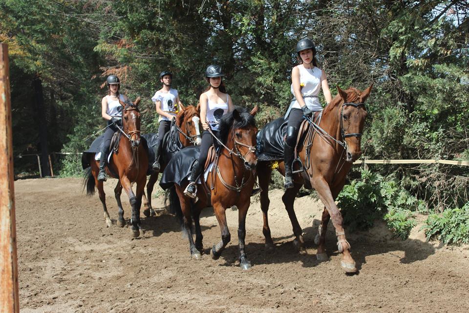 Groupe en balade à cheval