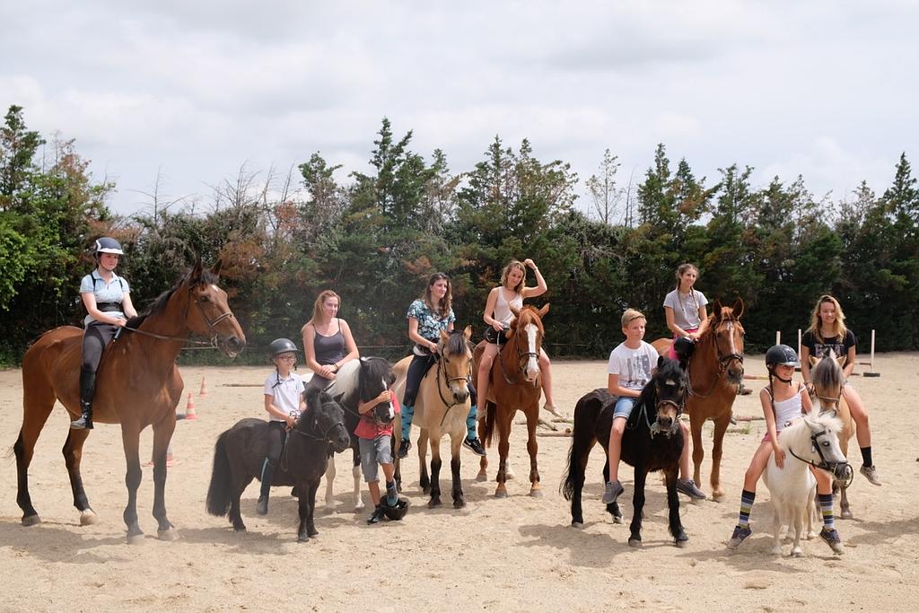 Groupe de licenciés d'équitation