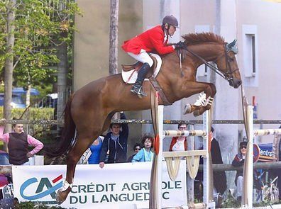 Participation à des concours