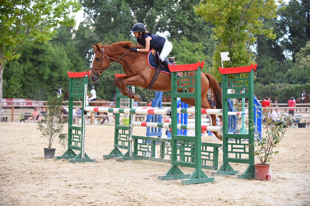 Participant à un concours