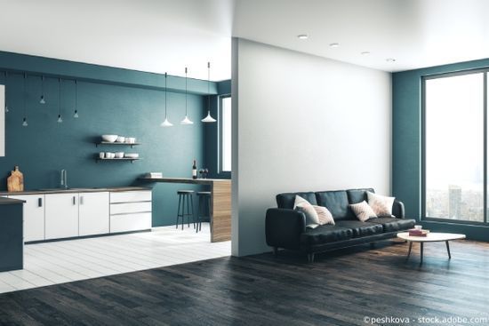 Moderne Küche und Wohnzimmer