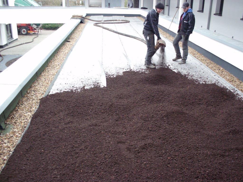 Referenzen Dachbegrünung