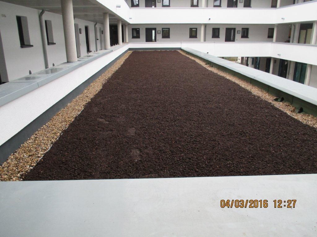 Referenzen Dachbegrünung