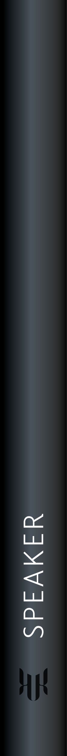 Kai-Uwe Kern, Speaker