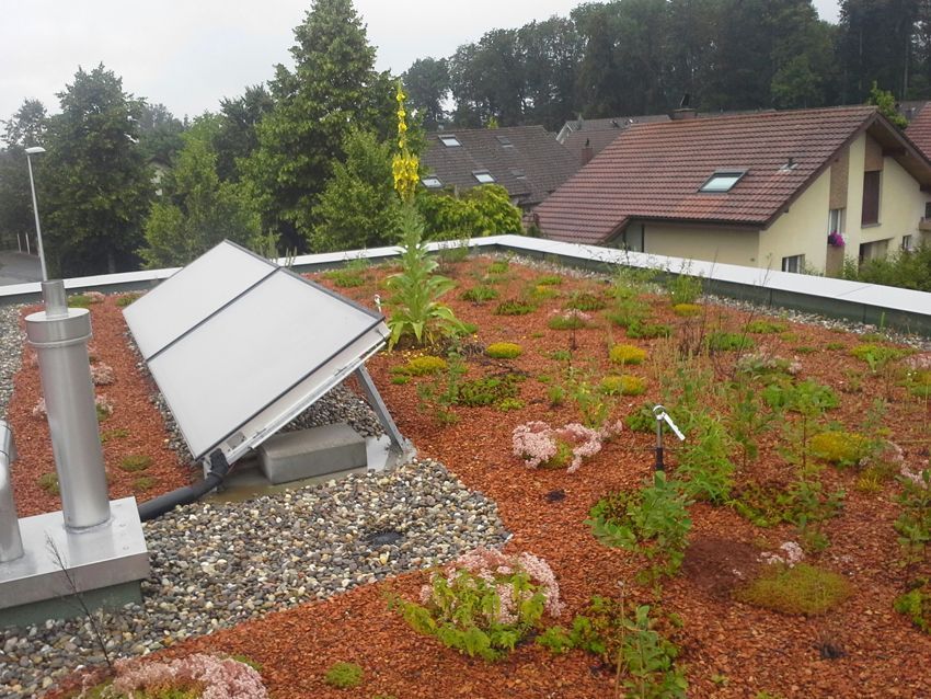 bedachungen - flachdach - flachdach-service.ch - Langenthal