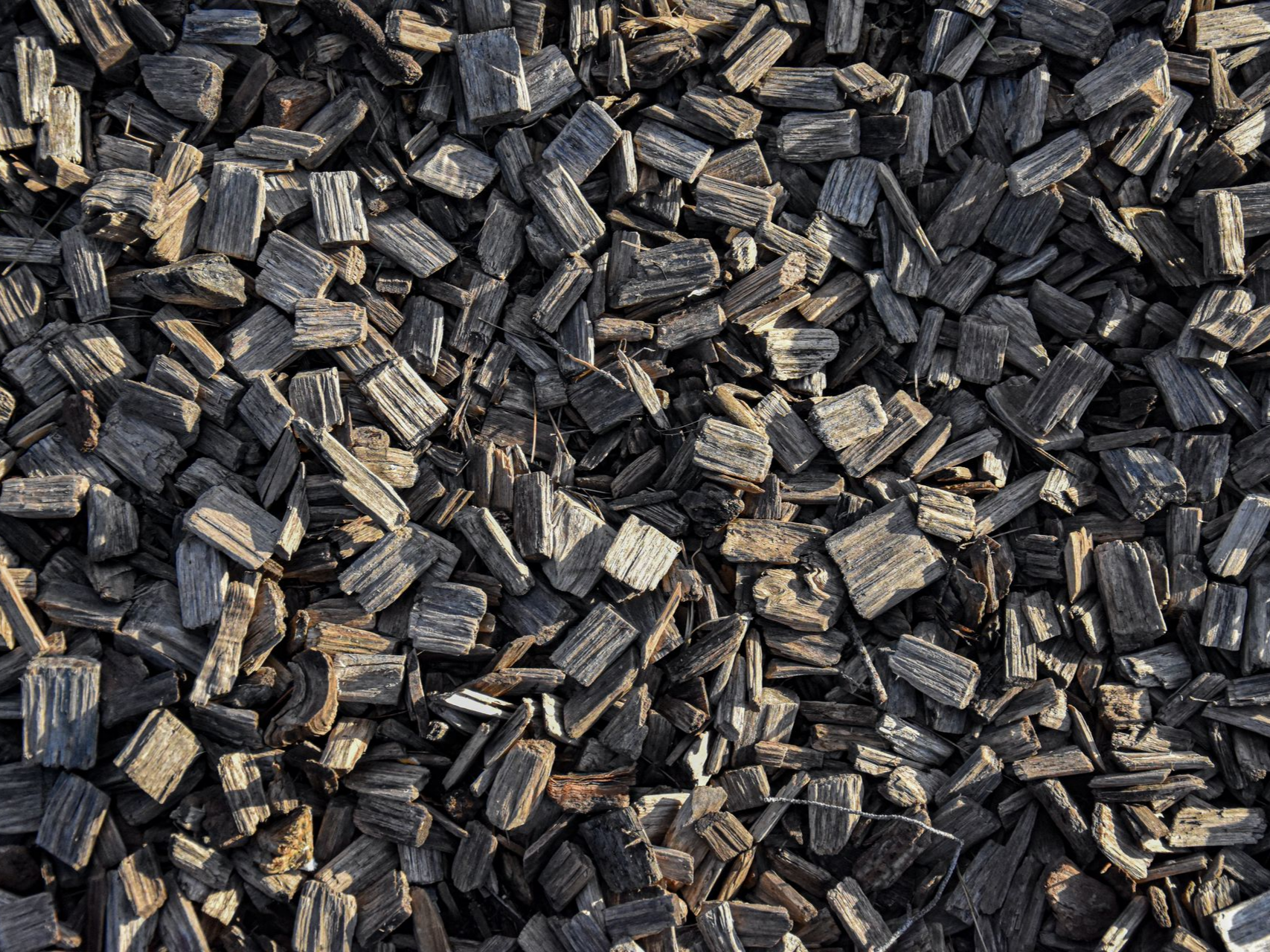 Vue plongeante sur un sol recouvert d'une épaisse couche de paillis de bois gris foncé et grossier, ou de copeaux de bois.