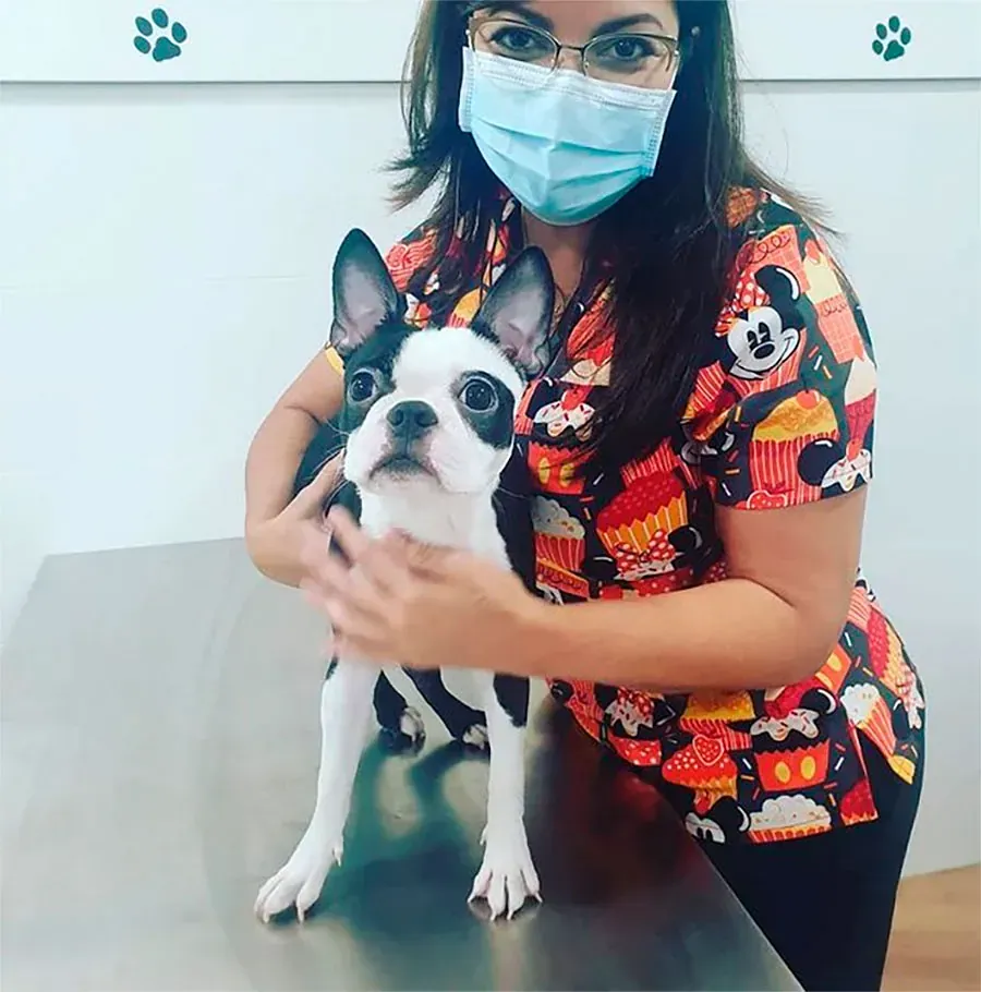 Una mujer que lleva una máscara sostiene un perro pequeño.