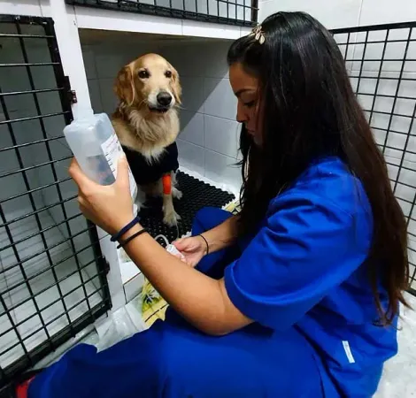 Una mujer está sentada junto a un perro en una jaula sosteniendo una botella de agua.