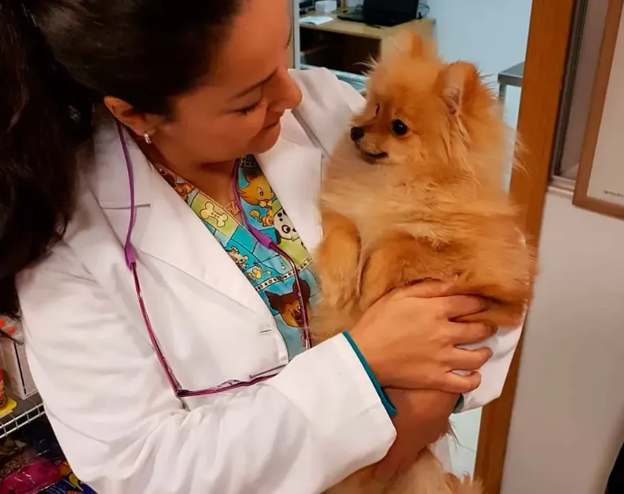 Una mujer sostiene un pequeño perro marrón en sus brazos.