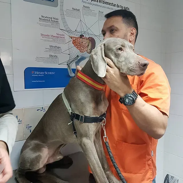 Un hombre con un uniforme naranja sostiene a un perro.