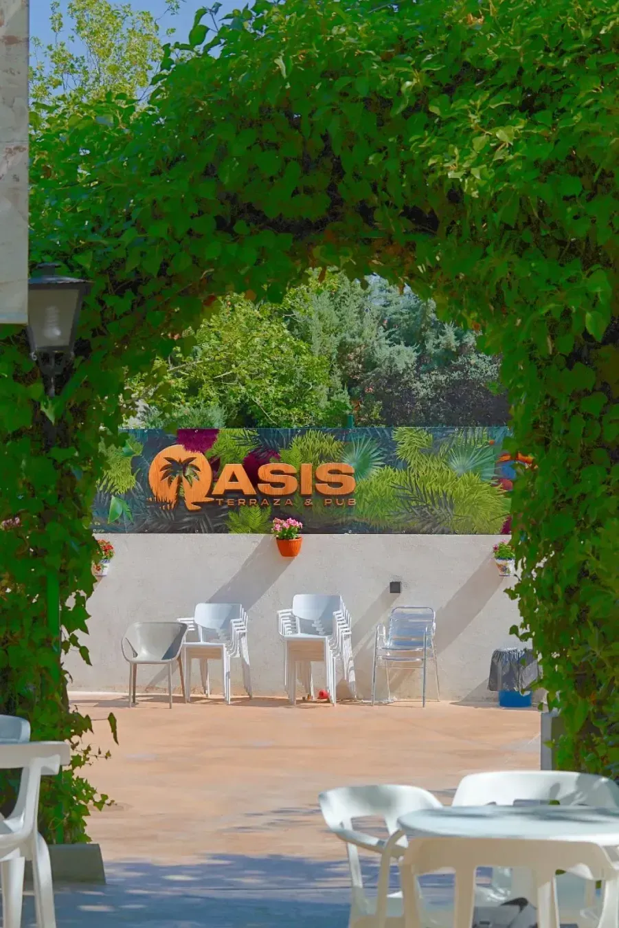 Un patio al aire libre enmarcado por enredaderas frondosas, con un letrero que dice 