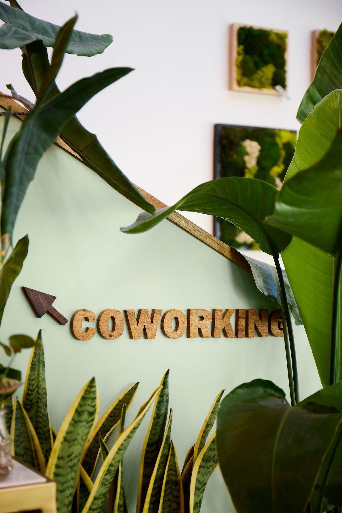 Panneau COWORKING sur un mur végétalisé avec de grandes feuilles vertes au premier plan