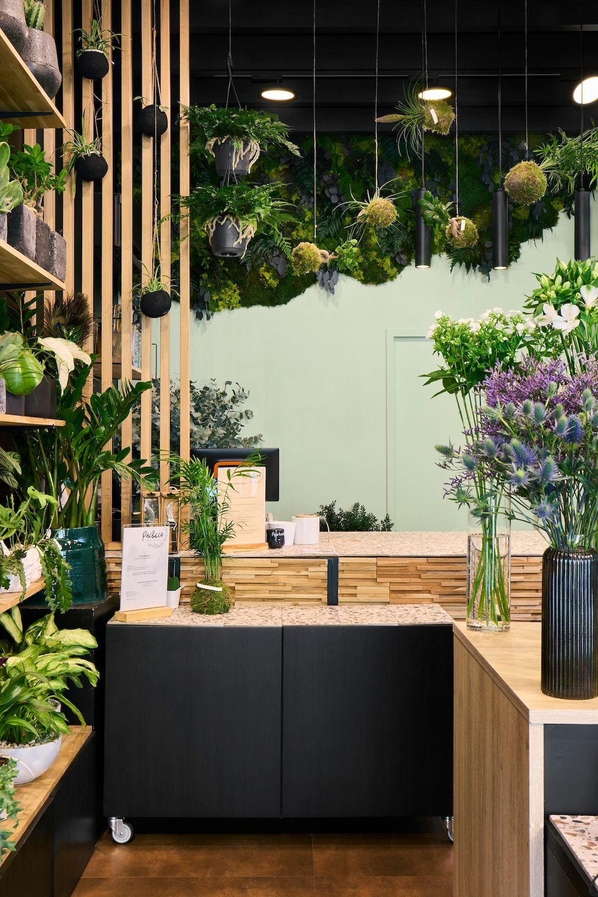 Café moderne et végétalisé, avec des plantes suspendues, des touches de bois et un comptoir noir