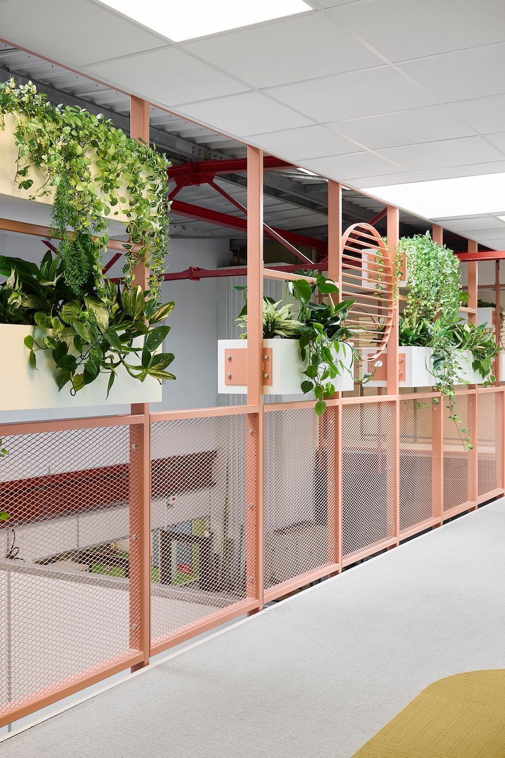 Couloir intérieur de bureau avec rampes roses, plantes suspendues et dalles de plafond blanches
