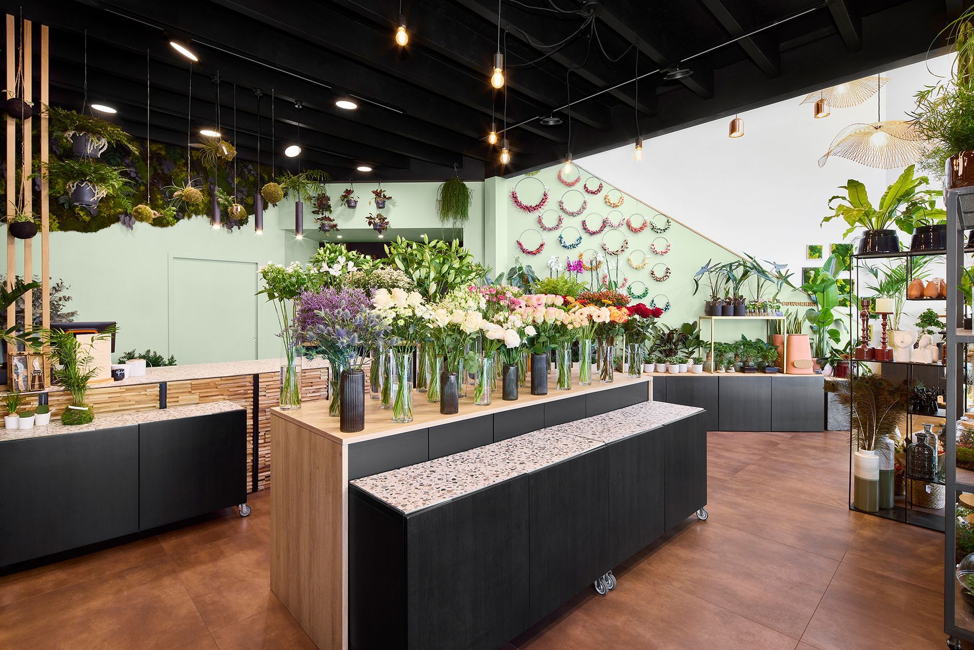 Intérieur lumineux d'une boutique de fleurs avec des plantes en pot, des comptoirs noirs et des plantes suspendues sous une lumière chaude.