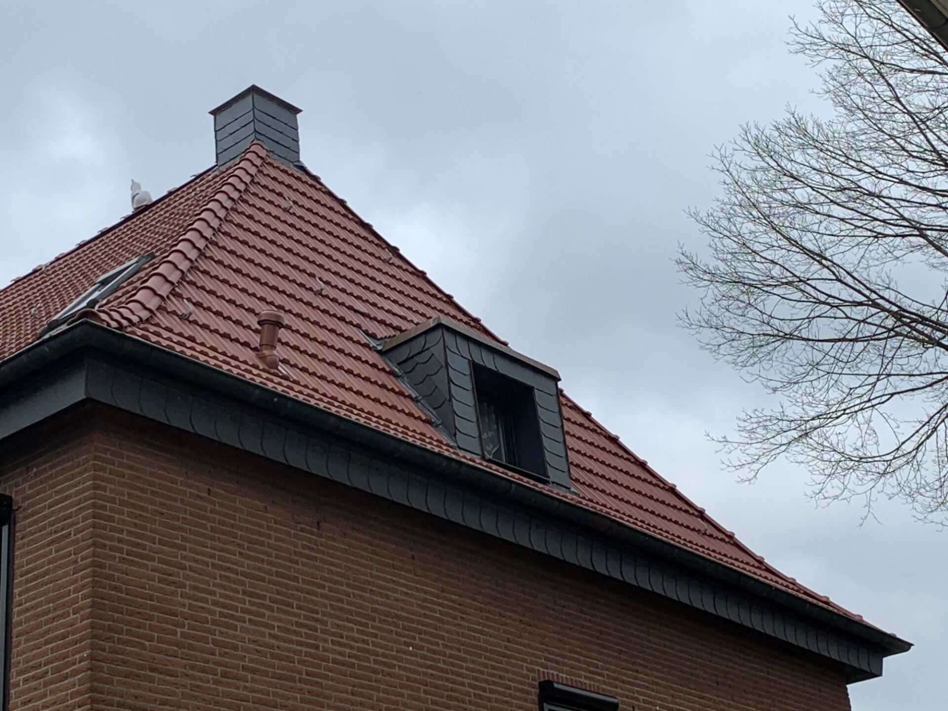 Dachgauben Gestaltung