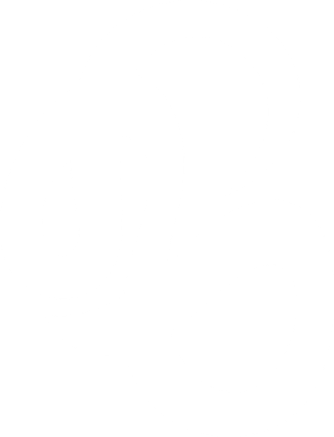 Abstract shape from the EVS Telecom logo