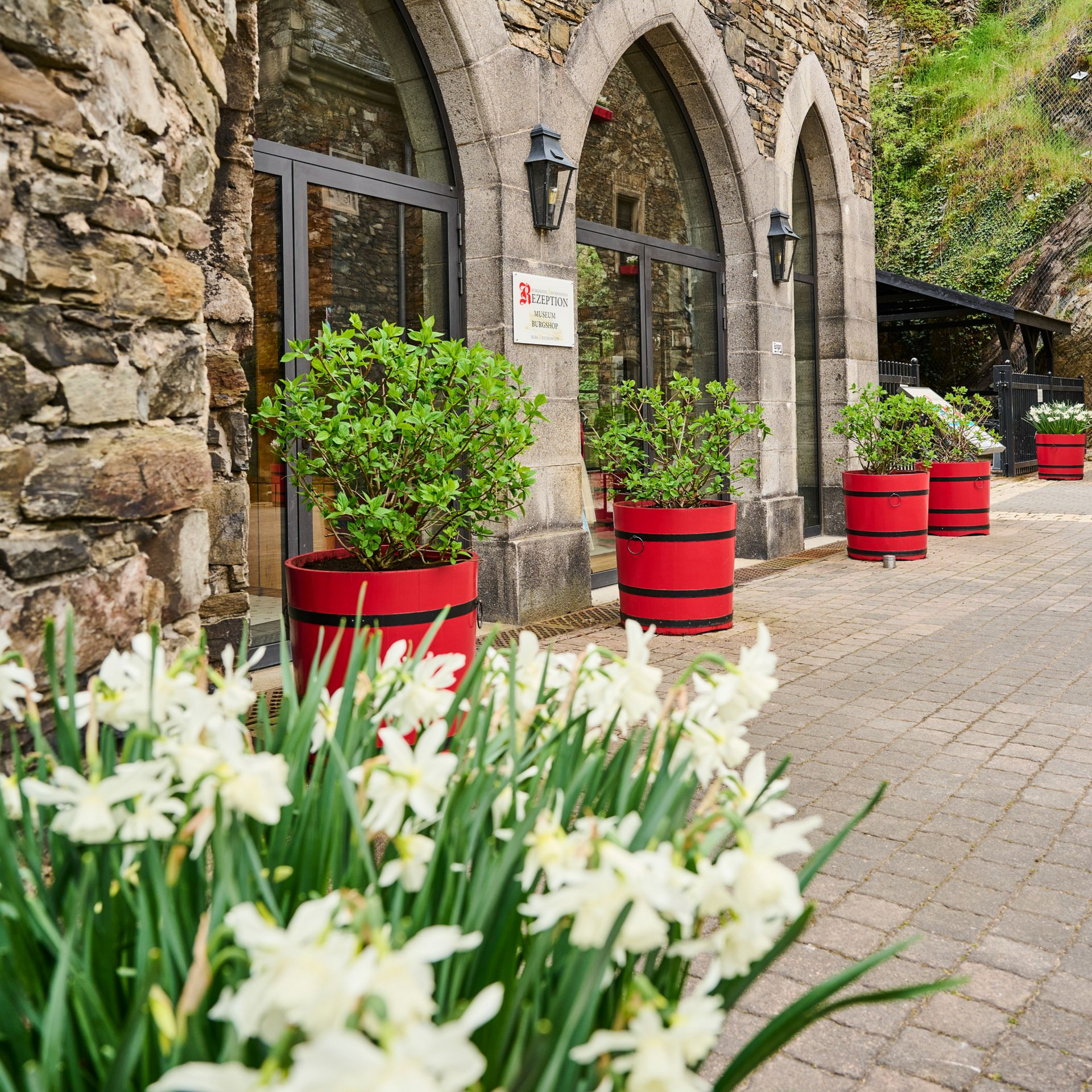 Im Vordergrund blühen weiße Narzissen vor Steinbögen, grünen Sträuchern in roten Pflanzgefäßen und einer Ziegelterrasse.