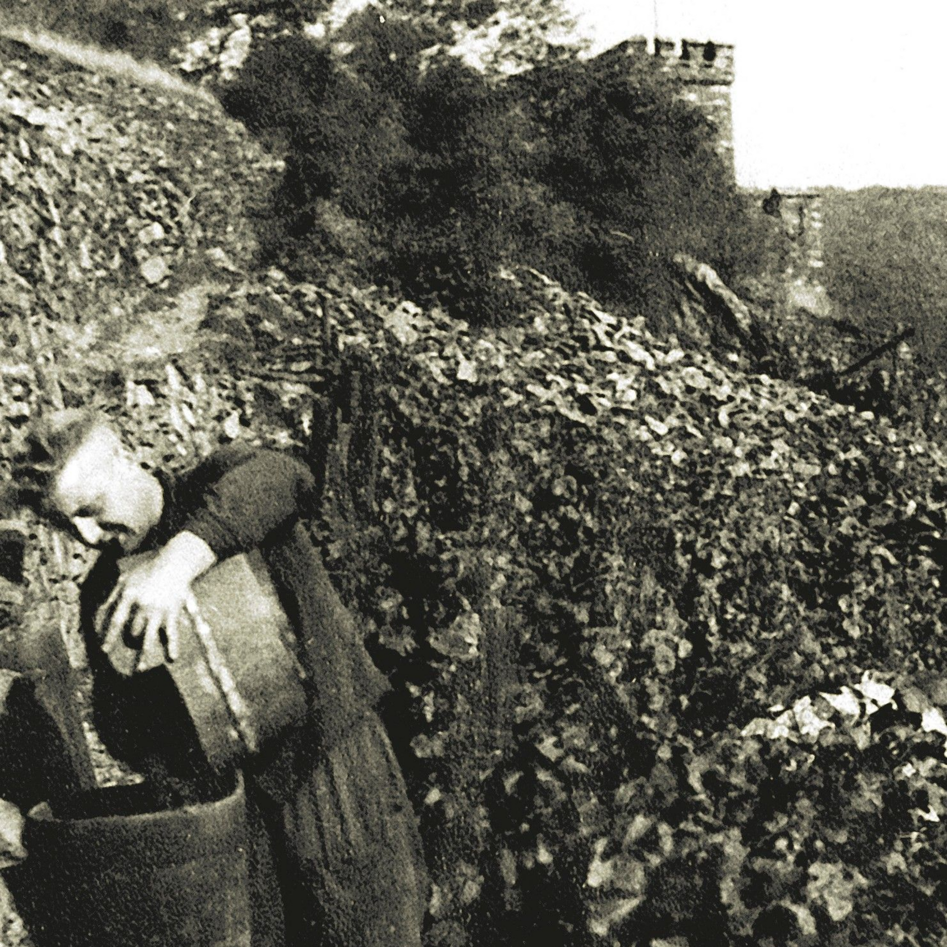 A vintage wine label for a 1981 Mittelrhein Riesling u. Silvaner from Trechtingshäuser Schloß Reichenstein.