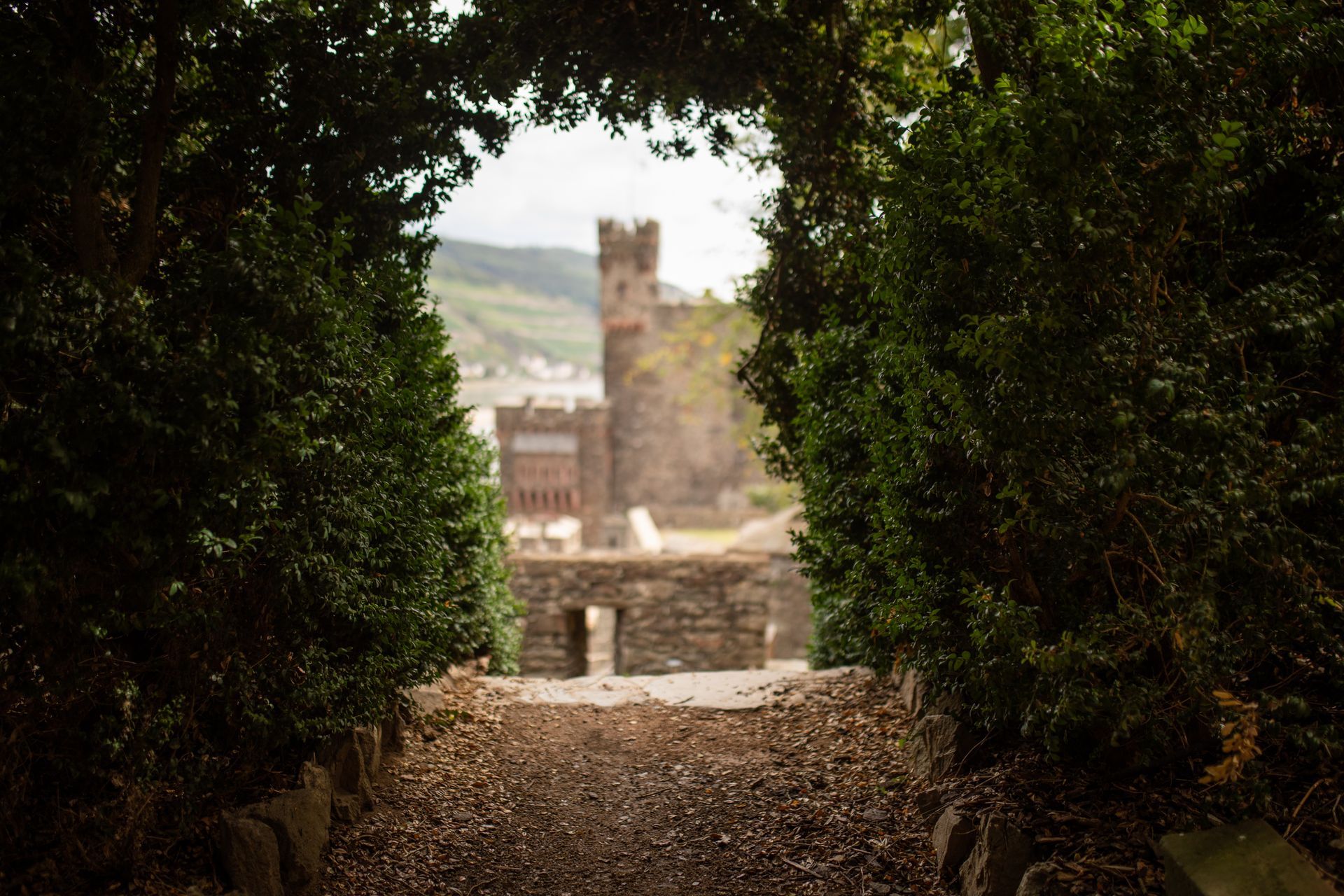 A stone castle tower visible through dense green hedges across a dirt road covered in leaves.