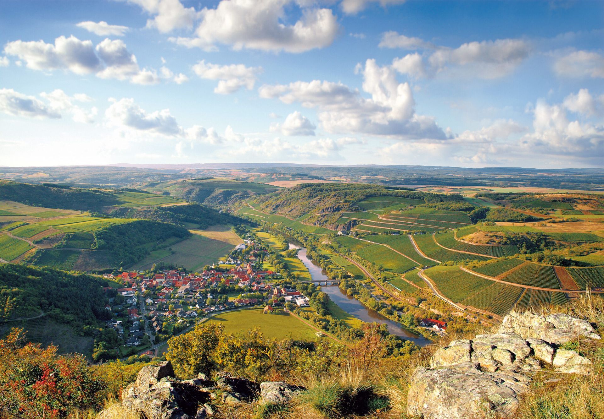 Ein lächelndes Paar posiert im Freien vor einem Weinberg; im Vordergrund ist ein Weinglas zu sehen.