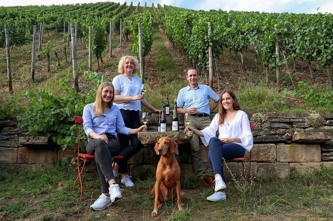 Vier Personen sitzen mit einem Hund in einem üppigen Weinberg und posieren mit Weinflaschen und Gläsern in der Nähe einer Steinmauer.