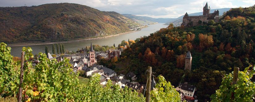 Eine mittelalterliche Burg überblickt eine Stadt und einen Fluss in einem Tal, eingerahmt von Weinbergen im Vordergrund im Herbst.