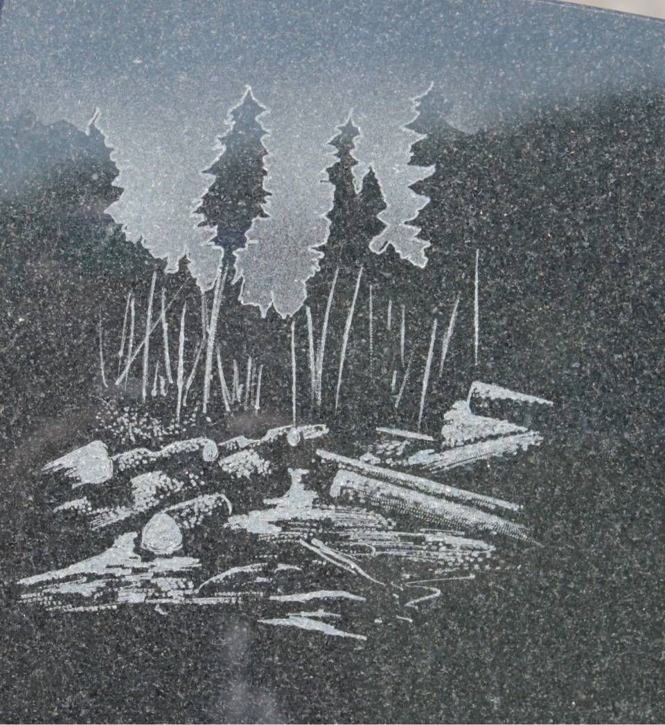Scène de forêt en noir et blanc avec des bûches empilées et des branches tombées au premier plan