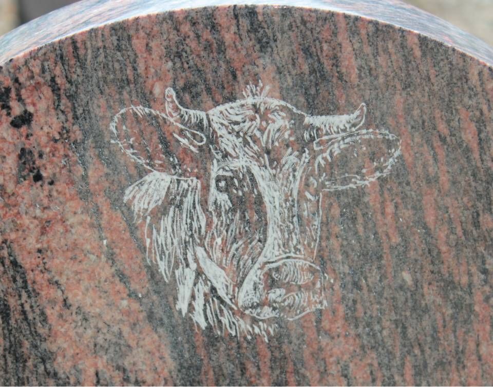 Vache blanche dessinée sur une surface de pierre rose et grise