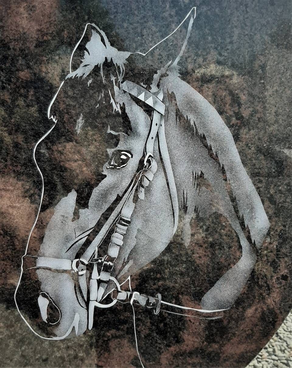 Tête de cheval en noir et blanc, portant un mors, tournée vers la gauche sur un fond sombre.