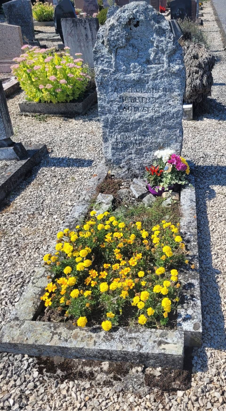 Pierre tombale dans un parterre de fleurs jaunes et roses, sur une parcelle de cimetière gravillonnée.