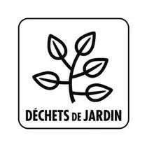 Une icône en noir et blanc d'une plante avec des feuilles dans un carré.