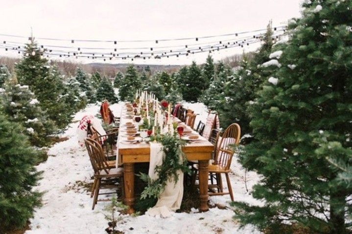 Mesa de comedor exterior nevada entre árboles de Navidad con guirnaldas de luces.