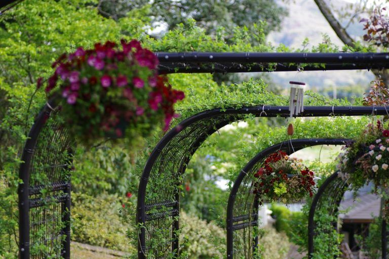 Pasarela arqueada de metal negro con cestas colgantes de flores violetas, enredaderas y exuberante vegetación.