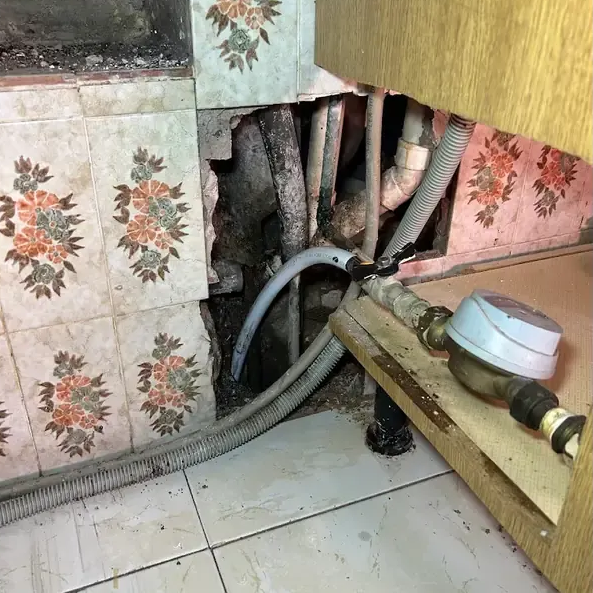 Pared dañada con tuberías, medidor y azulejos decorativos expuestos.