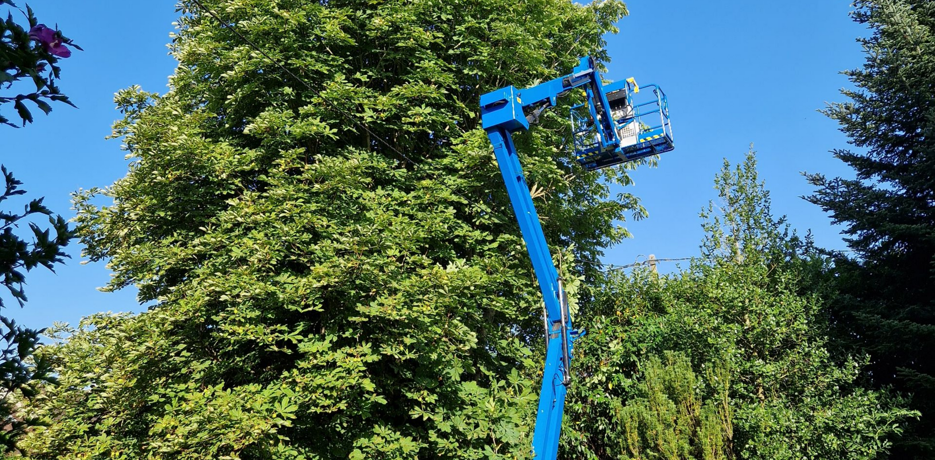 Une nacelle élévatrice bleue, avec une personne dans le panier, taille un grand arbre.