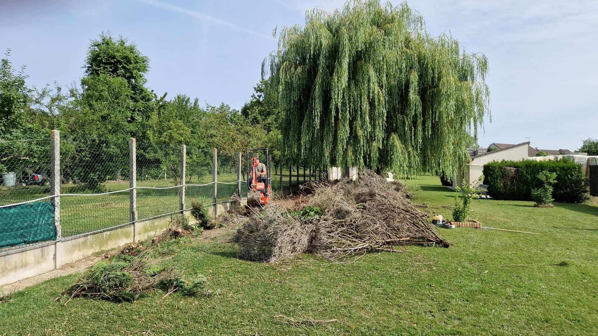 Une personne retire à la racine une haie et se trouve près d'un gros tas de branches et d'un saule pleureur dans une cour.