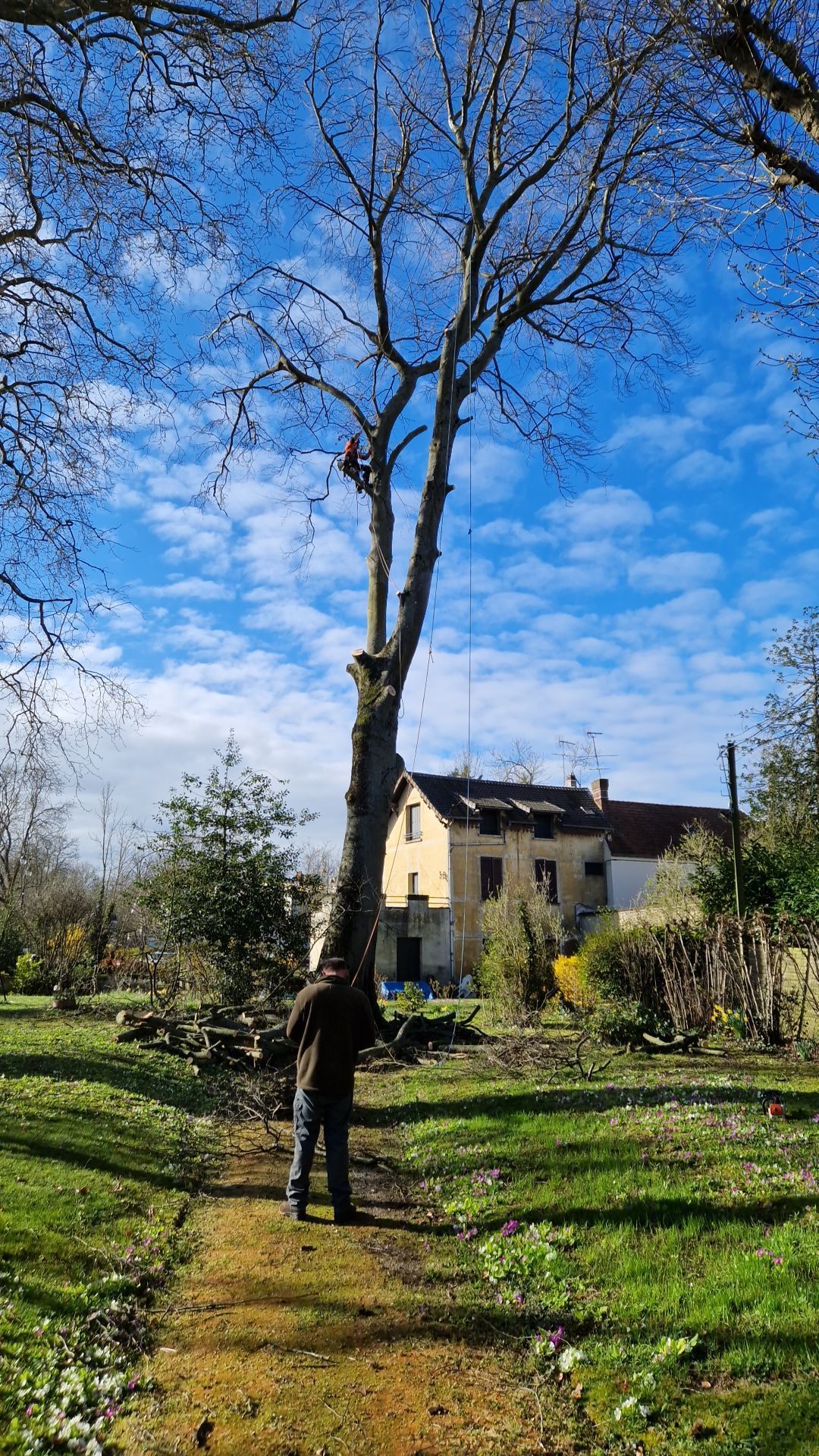 Une personne se tient près d'un grand arbre dans un champ herbeux. Un bâtiment se dresse en arrière-plan.