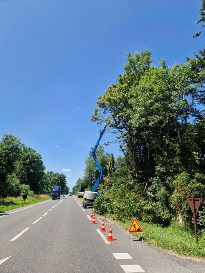 Une nacelle élévatrice bleue élague des arbres en bordure de route.