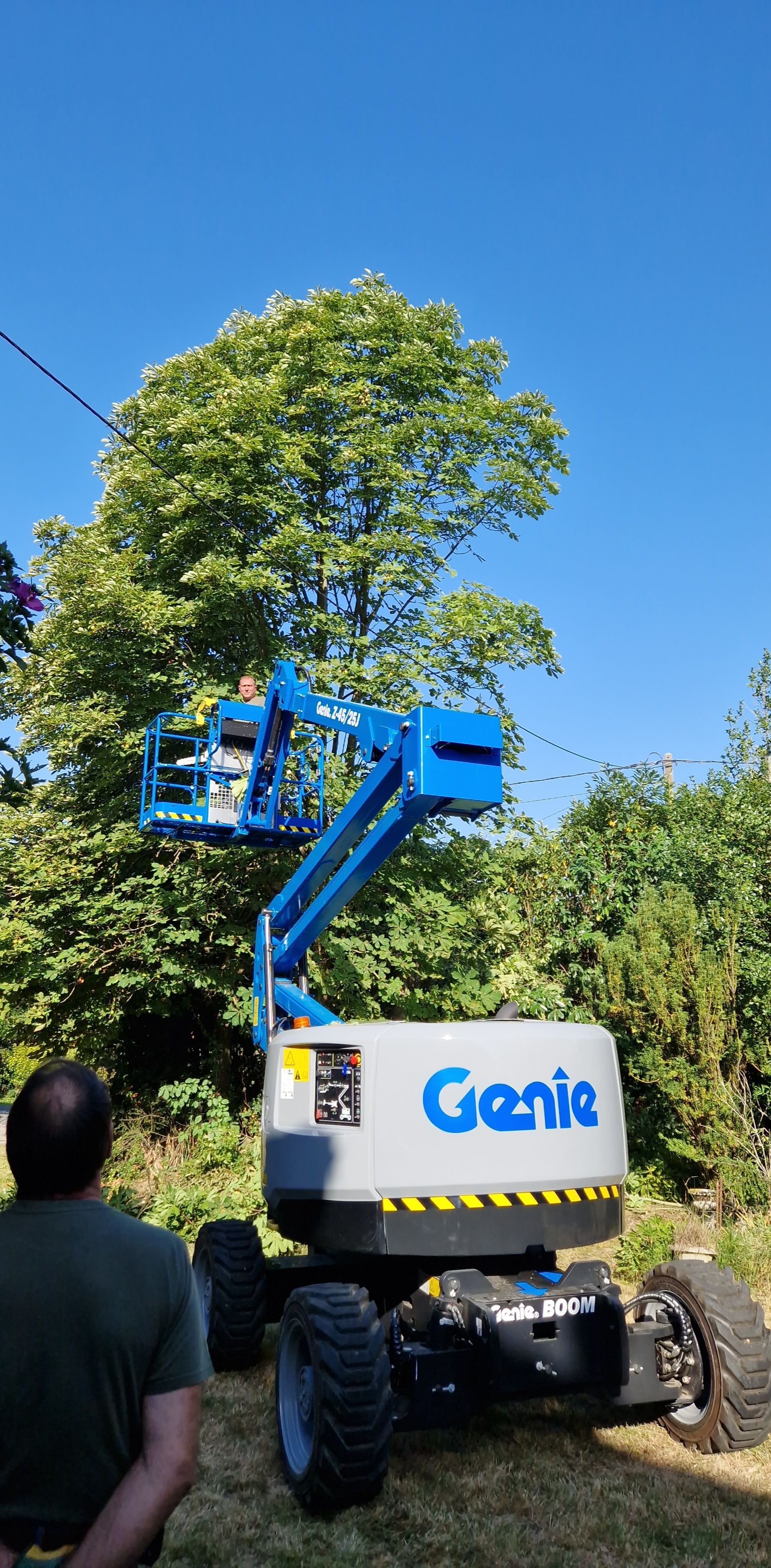 Un chariot élévateur Genie bleu est déployé jusqu'à un arbre, une personne se tenant à proximité.